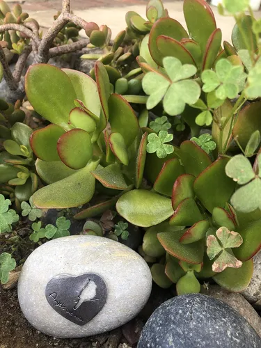 Miniatura 6 de Regalo de recuerdo de condolencias – Los ángeles están cerca – Placa de peltre sobre una piedra de río – Bonita adición a un jardín conmemorativo
