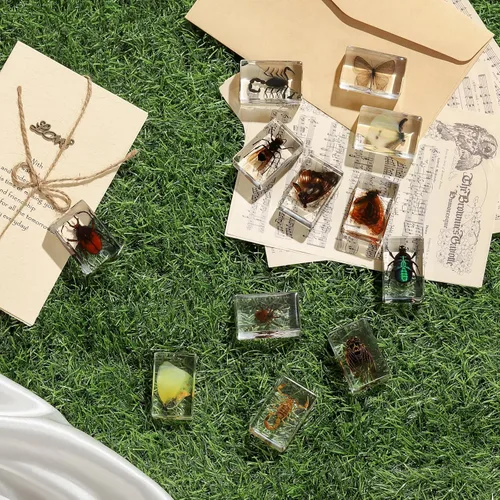 Miniatura 5 de Colección de 12 piezas de insectos en resina, juego educativo de especímenes de insectos para niños, perfecto para preescolar, ciencia de aula