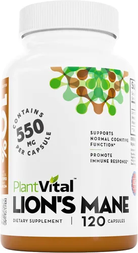 PlantVital Suplemento de melena de león – Cápsulas orgánicas de hongos melena de león – 1100 mg por porción (extracto 10:1) con 40% de polisacáridos