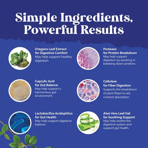 Miniatura 4 de Natures Craft Candida Cleanse - Desintoxicación corporal para mujeres, desintoxicación intestinal antisobrecrecimiento para mujeres con ácido