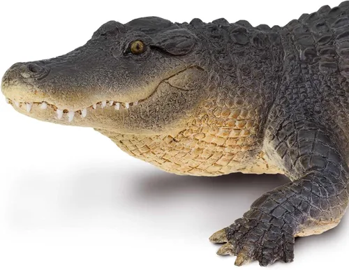 Miniatura 5 de Safari Ltd. Figura de cocodrilo – Figura detallada de caimán de plástico de 10.5 pulgadas – Divertido juguete educativo para niños, niñas y niños a