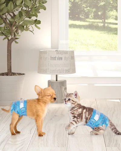 Miniatura 8 de Pet Soft Pañales desechables para perros hembras, pañales desechables para gatos, pañales para cachorros, 8 unidades, XS