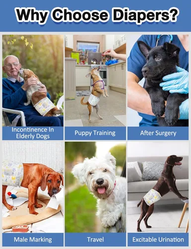 Miniatura 7 de Dono Pañales desechables para perros machos, superabsorbentes, para perros pequeños a grandes, a prueba de fugas en 360° con indicador de humedad