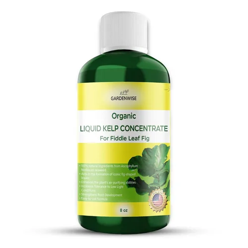 Miniatura 79 de GARDENWISE Fertilizante orgánico prémium de anturio de algas marinas – Alimento líquido para plantas de algas marinas – Potenciador de suelo rico