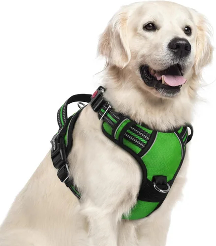 Miniatura 48 de rabbitgoo Arnés para perro de tamaño pequeño, chaleco para perro sin tirones con 3 hebillas, arnés ajustable y acolchado suave para mascotas con asa
