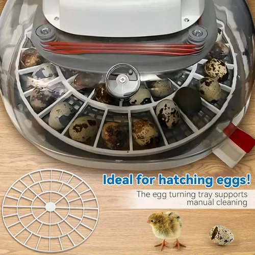 Miniatura 6 de Enhon Bandeja de 48 huevos compatible con la incubadora Nurture Right 360, bandeja giratoria de huevos de plástico de repuesto para incubar