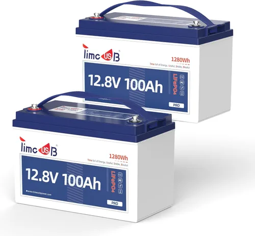 Miniatura 19 de Timeusb Batería marina LiFePO4 de 12 V 100 Ah TM con protección a baja temperatura, BMS de 100 A, más de 15000 ciclos, batería de fosfato de hierro