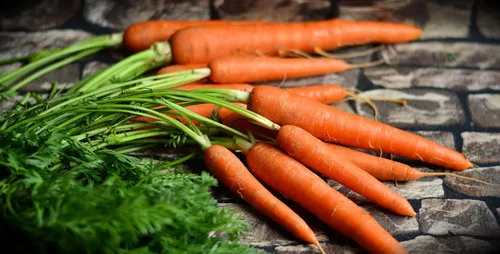 Miniatura 5 de 30 paquetes surtidos de semillas de verduras, más de 15 variedades, todas las semillas son reliquias, 100% no transgénicas