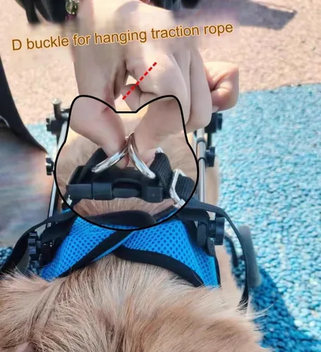 Miniatura 4 de Herramienta ligera para caminar para perros, silla de ruedas ajustable para perros, soporte para piernas y soporte de cadera para perros pequeños
