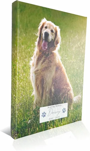 Miniatura 11 de Perfect Cases Marco conmemorativo para mascotas con pantalla de collar e impresión fotográfica de 8 x 10 pulgadas y grabado personalizado..