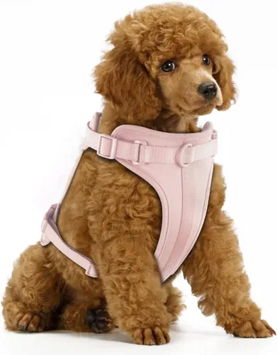 Miniatura 22 de Arnés ligero para perro sin tirones: arnés ajustable y duradero de malla transpirable con cojín suave y cómodo, para perros pequeños, medianos y Lila