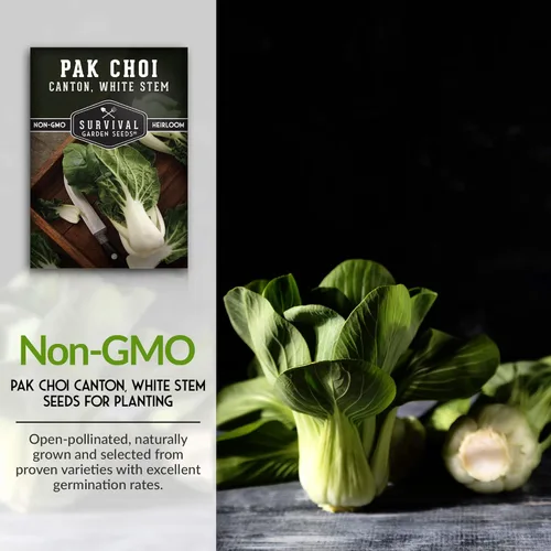 Miniatura 3 de Survival Garden Seeds - Semillas Pak Choi o Bok Choy de tallo blanco de cantón para plantar - 2 paquetes con instrucciones para cultivar Brassica