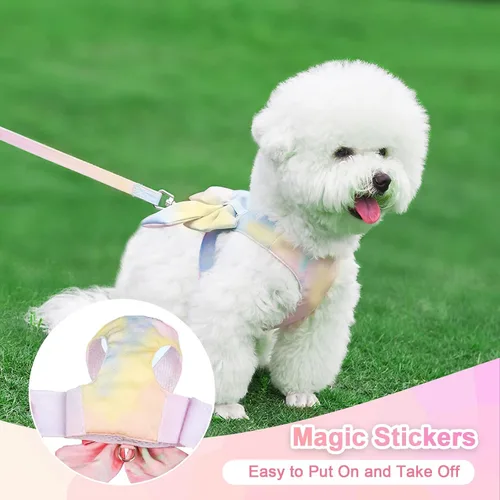 Miniatura 3 de PETCARE Elegante juego de arnés y correa con moño para perros, arnés de arcoíris elegante para cachorros sin tirón, arnés de malla suave