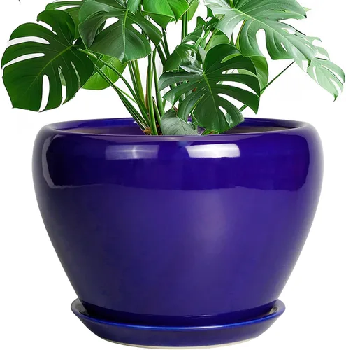 Miniatura 84 de Maceta de Cerámica Moderna con Esmalte para Suculentas con Agujero de Drenaje y Platillo, Maceta Redonda de 6 Pulgadas para Plantas de Flores