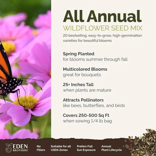 Miniatura 2 de Eden Brothers Todas las semillas mixtas anuales de flores silvestres para plantar, 1/4 lb, más de 120,000 semillas con girasol, manta india, lino