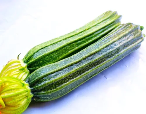 Miniatura 6 de TomorrowSeeds - Semillas de calabacín Costata Romanesco - Paquete de 20 unidades - para plantar semillas de jardín 2025 acanaladas italianas a rayas