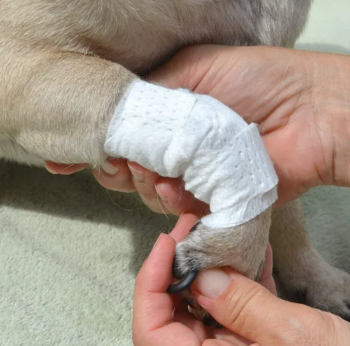 Miniatura 5 de PawFlex Vendajes para heridas articulares y de área grande para perros, gatos y otras mascotas. Ideal para esguinces de articulaciones de piernas