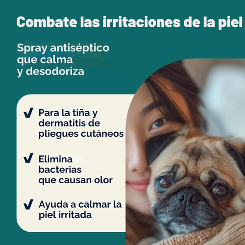 Miniatura 4 de Vetnique Dermabliss Clorhexidina para la salud de la piel de los perros, aerosol medicado antibacteriano, para infecciones de la piel e irritación