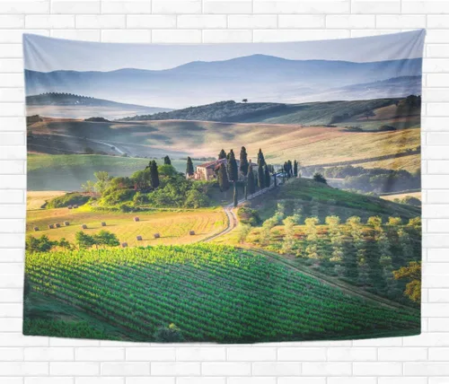 Topyee Home Tapiz decorativo para colgar en la pared, atrapasueños étnico indio de colores con cuentas de plumas de 50 x 60 pulgadas, tapiz de pared