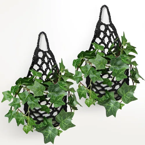Miniatura 15 de Paquete de 2 Maceteros de Pared para Plantas de Interior, Colgador de Plantas de Macramé Macetero de Pared, Colgador de Plantas, Macetero Colgante
