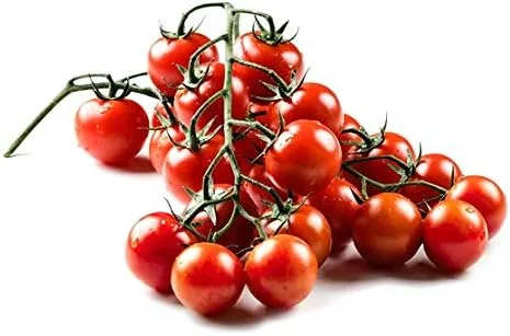 Más de 20 semillas de tomate cherry ciliegino siciliano, reliquia sin OMG, raras, italianas clásicas, indeterminadas, polinizadas abiertas,