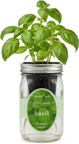 Kit de Cultivo Hidropónico, Kit de Inicio de Jardín de Hierbas en Frasco Mason con Autoriego para Interiores, Jardín de Hierbas para Alféizar de