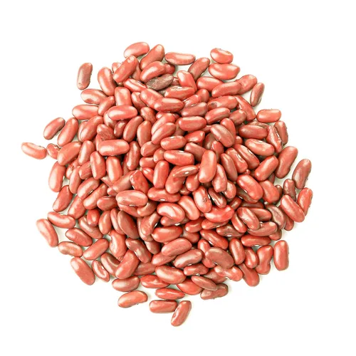 Miniatura 3 de Food to Live Frijoles rojos claros, 1 libra – Frijoles secos enteros, crudos, germinables, veganos, a granel. Rico en fibra, potasio, proteína a
