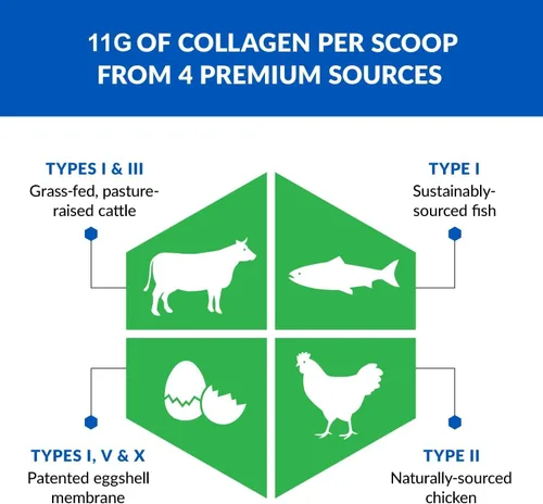 Miniatura 3 de BioTrust Proteína de colágeno múltiple sin edad, un polvo de colágeno 5 en 1, 5 tipos de colágeno, péptidos de colágeno hidrolizados, carne de res