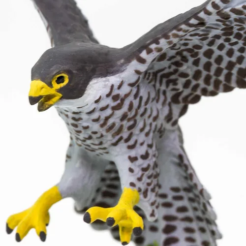 Miniatura 4 de Safari Ltd. Figura de halcón peregrino, figura detallada de plástico de 3.75 pulgadas, divertido juguete educativo para niños, niñas y niños a