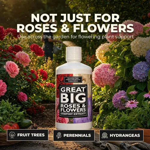 Miniatura 6 de Great Big Roses - Potenciador de fertilizante de suelo y rosas para cultivar las mejores rosas y flores; extracto de abono alimentario de rosas