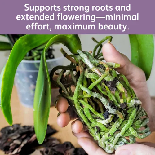 Miniatura 7 de Chrysal Gotas de Alimento para Orquídeas — Cuidado de Orquídeas — Un Paquete para un Suministro de un Año — Alimento Floral Concentrado para Todas