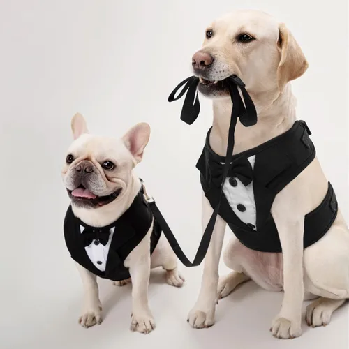 Miniatura 6 de Kuoser Arnés de esmoquin para perro, arnés ajustable para mascotas sin tirones para perros pequeños y medianos, traje de boda para perros con Negro