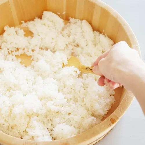 Miniatura 5 de TIKUSAN Hangiri - Tina de mezcla de arroz Hangiri de madera, banda de PP con tapa, hecha en Japón, hecha de abeto Momi, sushi, arroz, sushi oke