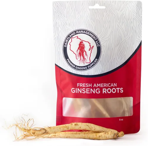 Dairyland - Raíces de ginseng americano fresco, 8 onzas de ginseng fresco de Wisconsin, directo del granjero al consumidor, ginseng de calidad