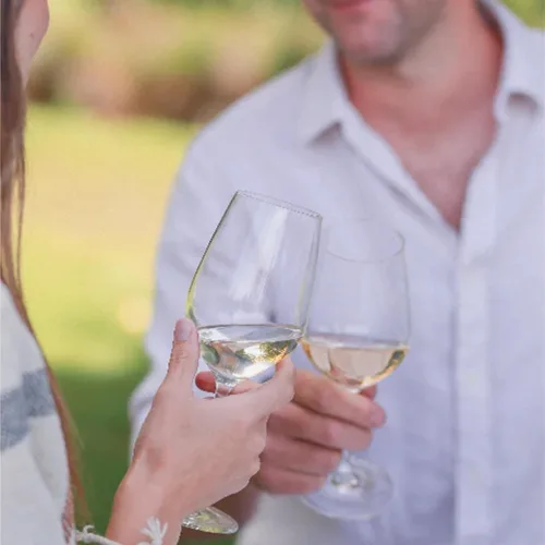 Miniatura 4 de Giesen Pinot Grigio Premium sin alcohol - Vino blanco desalcoholizado premium Pinot Gris de Nueva Zelanda Paquete de 12