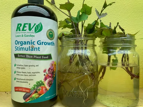 Miniatura 7 de Organic REV - Alimento vegetal natural de 32 onzas para plantas más saludables