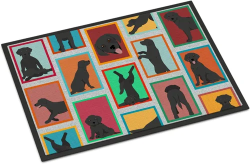 Miniatura 125 de Caroline's Treasures MLM1149MAT - Felpudo rojo Border Collie de 18 x 27 pulgadas, para interiores y exteriores, para entrada, antideslizante, Border