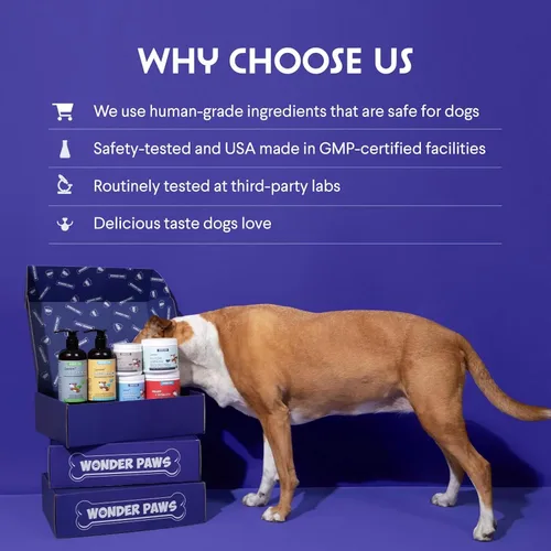 Miniatura 6 de WONDER PAWS Colágeno Premium para Perros – Soporte Líquido para la Piel, el Pelaje, las CADERAS y las Articulaciones – con Ácido Hialurónico