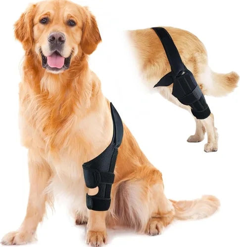 Rodillera para perro para pierna trasera y trasera, soporte para perro ACL CCL Lesión del ligamento cruzado dolor articular y dolor muscular (talla