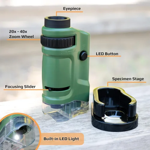 Miniatura 5 de Carson MicroBrite - Microscopio de bolsillo con luz LED 20x-40x para aprender, educar y explorar, juego de 6 (MM-24MU)