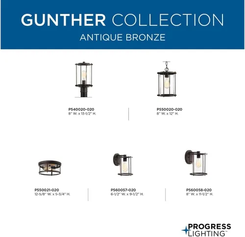 Miniatura 4 de Progress Lighting P560057-020 Gunther Outdoor, Bronce 9.5x6.5x6.5
