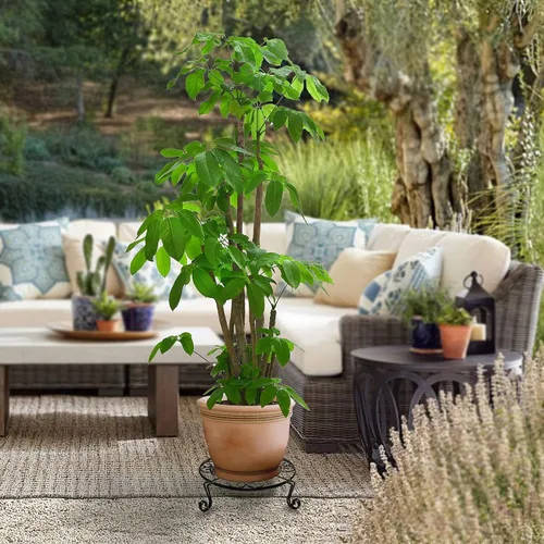 Miniatura 4 de NSYOOMH Paquete de 2 soportes de metal negro inoxidable de 10 pulgadas y 12 pulgadas para plantas resistentes al aire libre en interiores, soporte