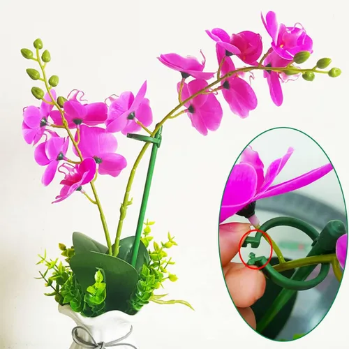 Miniatura 5 de Belit Paquete de 8 estacas de soporte para plantas pequeñas, estacas ajustables de soporte de un solo tallo para jardín, anillo de soporte