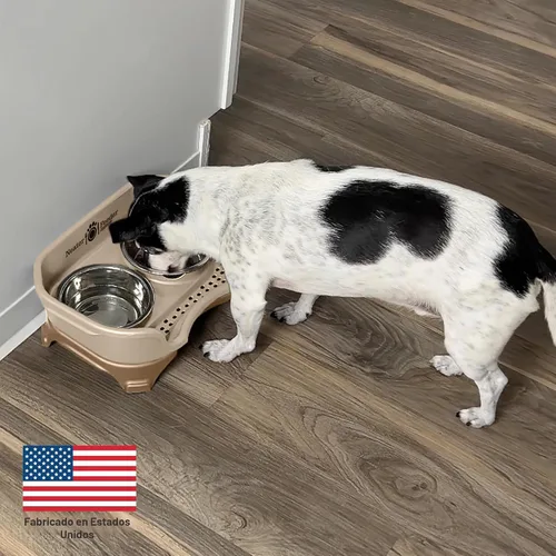 Miniatura 5 de Neater Feeder Express - Cuencos para perros a prueba de desorden, elevados para razas pequeñas de menos de 15 libras, fabricados en EE. UU., Soporte