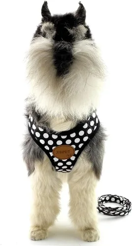 Miniatura 8 de SMALLLEE_Lucky_Store - Nuevo chaleco de nailon de malla suave, Arnés para mascotas, gatos, perros chicos o medianos, Juego de correa para perro