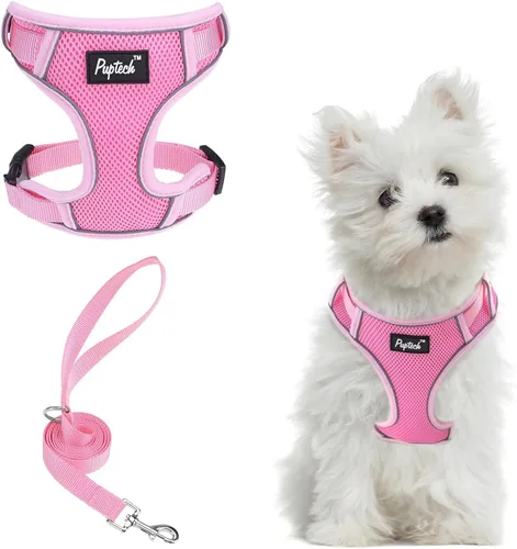 Miniatura 19 de PUPTECK Juego de arnés y correa para perro pequeño, arnés ajustable sin tirones para cachorro, chaleco de malla suave reflectante para mascotas