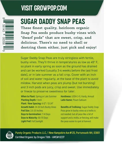 Miniatura 3 de Semillas orgánicas de guisantes dulces (Sugar Daddy) - Aproximadamente 75 semillas - USDA Orgánico, sin OGM, polinización abierta, variedad