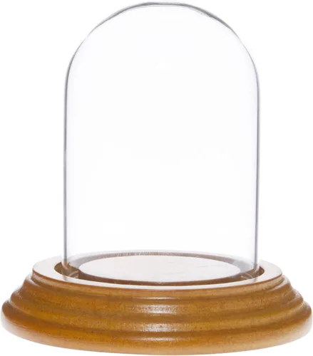 Miniatura 5 de Plymor 2" x 3" Mini cristal Display Dome Cloche (base de chapa de madera negra)