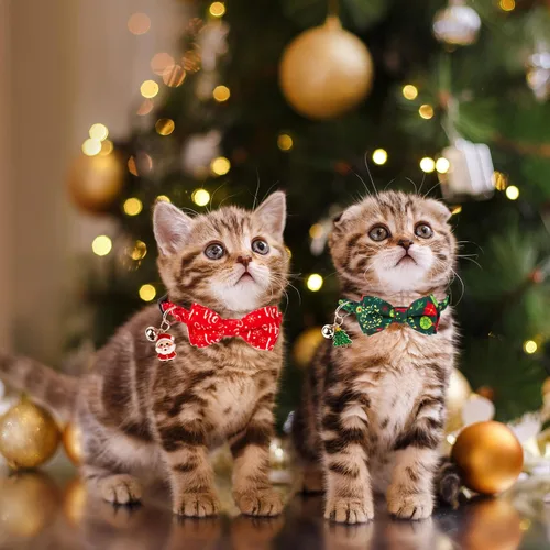 Miniatura 2 de ADOGGYGO Collar navideño para gato con campana de lazo, paquete de 2 collares de Navidad para gatito rojo y verde