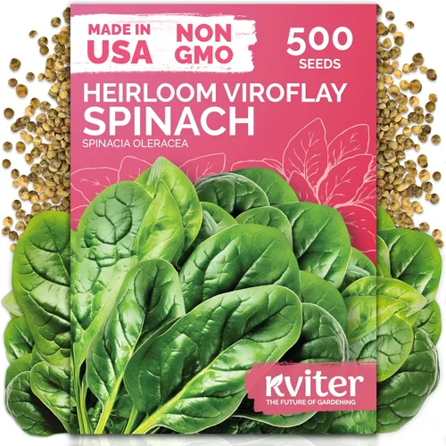 Miniatura 26 de KVITER 3100 semillas de zanahoria tiernas para plantar (Daucus carota) - Semillas de vegetales sin OMG para jardín al aire libre - Zanahorias dulces